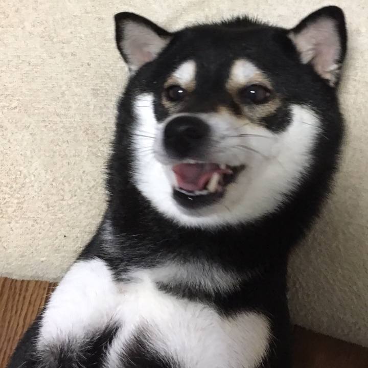 1c3e71b4 3f75 4459 88be f06ba5254adc