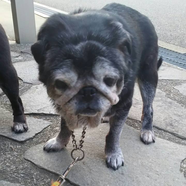 1c3ecfe9 73e5 48f7 863d e113dbd47267