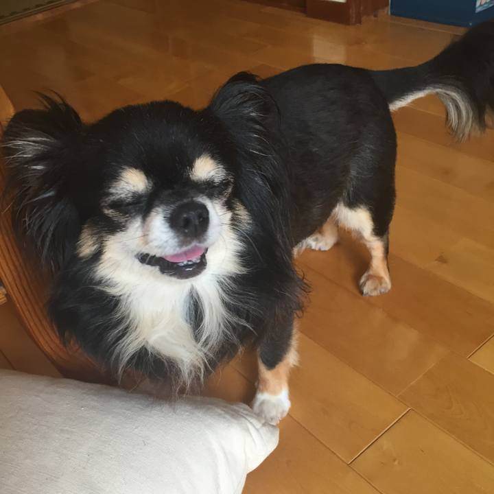 1c3f45c7 2233 419a bf3b 8f987d907716