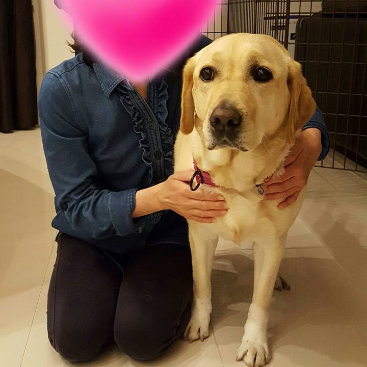 1c3fba30 09de 4ae5 aaea 1da276cfedbf