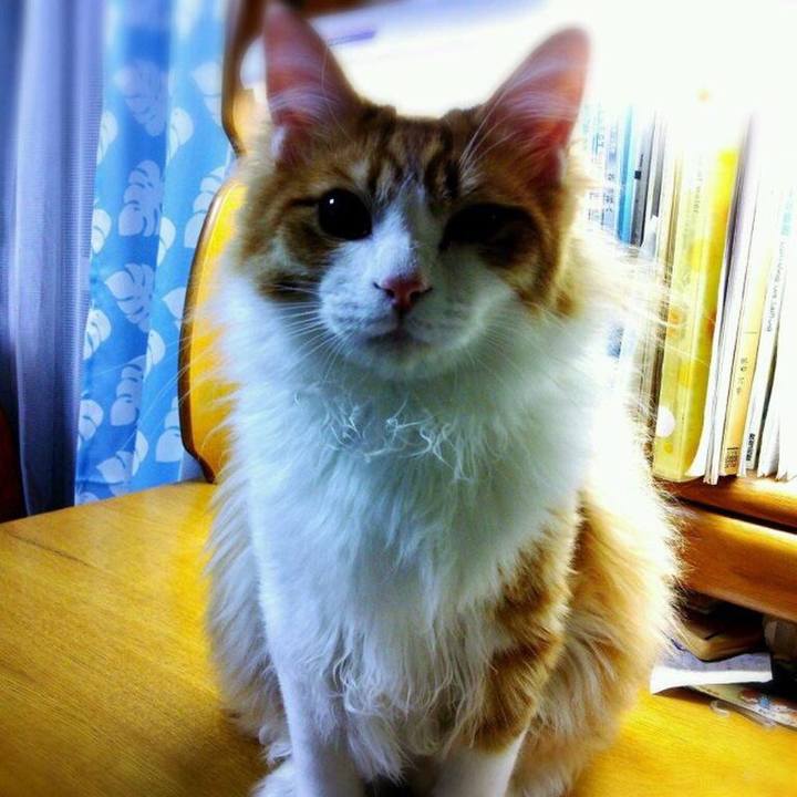 1c3fe5aa a4ee 4330 913f 65b7c9233b64