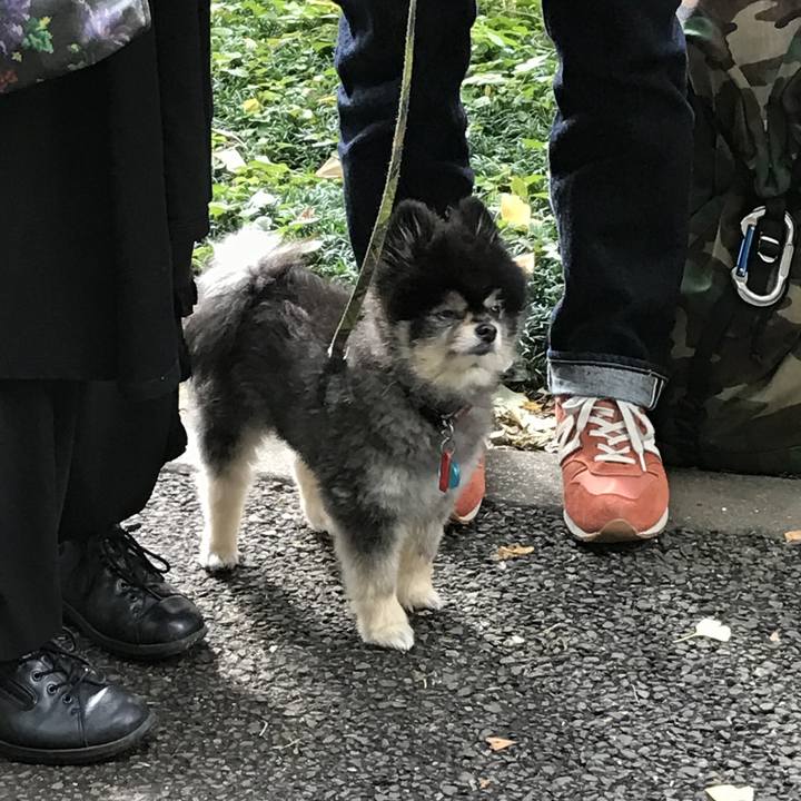 1c404f70 0f03 453e 8b50 9c3bc7cc177a