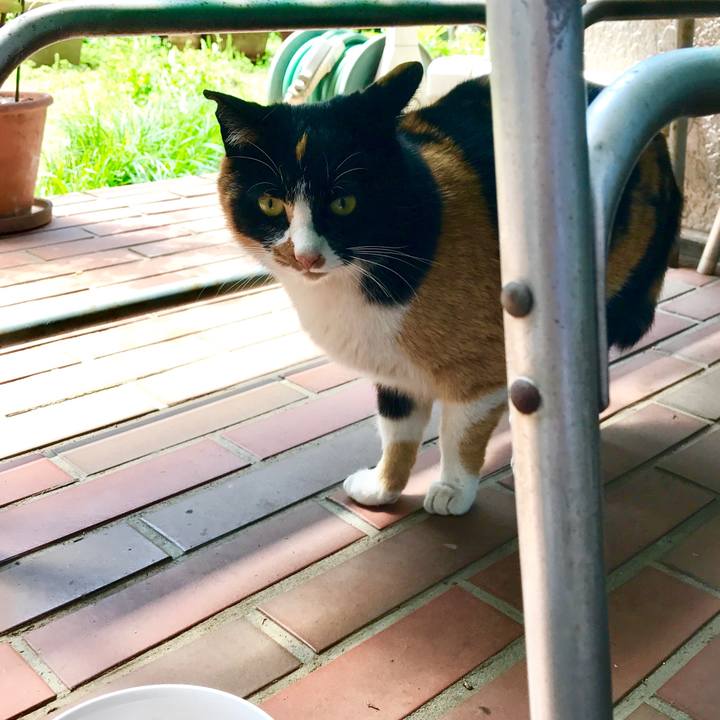 1c40baf6 8366 4743 93ca 87d51b6eb9ee