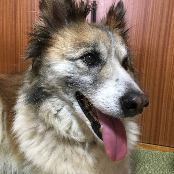 1c41b357 a0a5 4015 994b fabdb2fda479