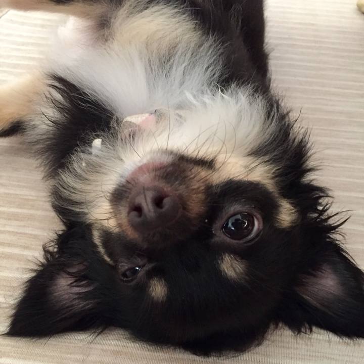 1c422219 2d13 4417 aa20 0d28a19158d9