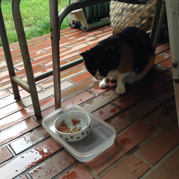 1c42a867 c4d5 4bb3 ac4b 3465b055bf51