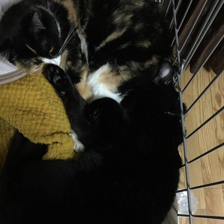 1c42c979 cee8 492d b321 23e3fa2e2927