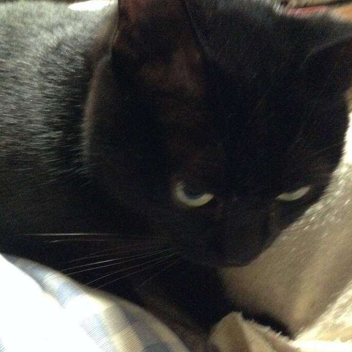 1c42fb3a cdb8 4c1c bef7 381daaf6425c