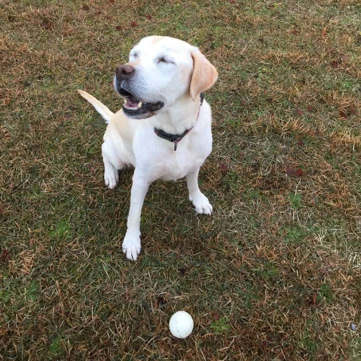 1c435c19 7213 4417 a027 ae08816c99f8