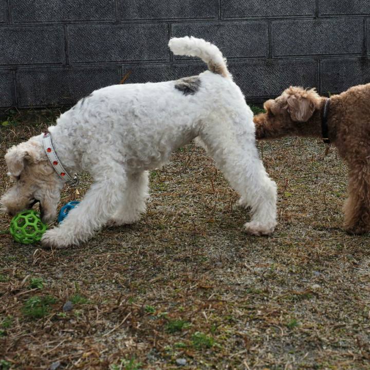 1c435d1f 7f7f 4040 b3f4 633acf1625bf