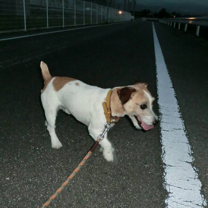 1c43bafe de1d 4e01 b030 91d363e74335