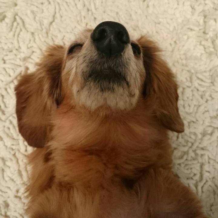 1c43d3fd 0f32 4edf b1da 0efa914b5268