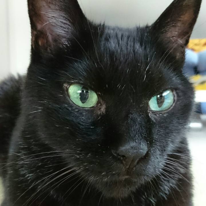 1c44377f 3220 4cf1 bb5d 7dea529eb14c