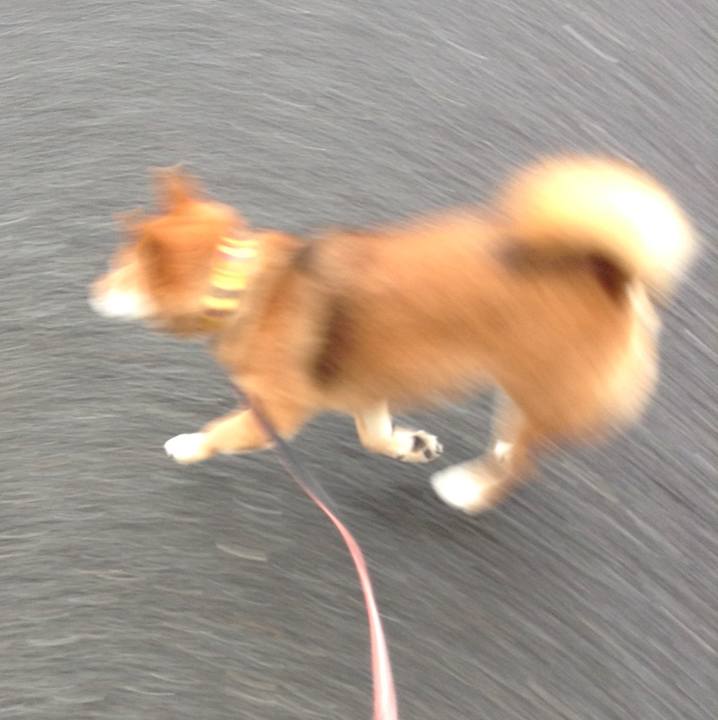 1c44587e 7186 4453 b6dc 7df3da602146