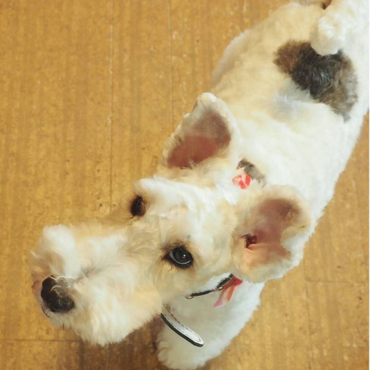 1c44f22b 9fed 493f 8632 b3ca897f53af