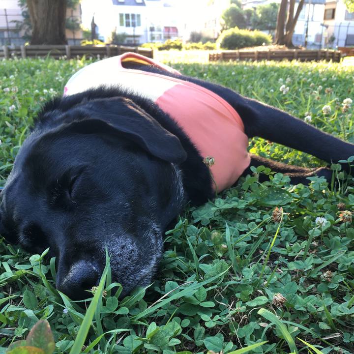 1c450878 f083 43c0 9e7e e9c9bf7a1702