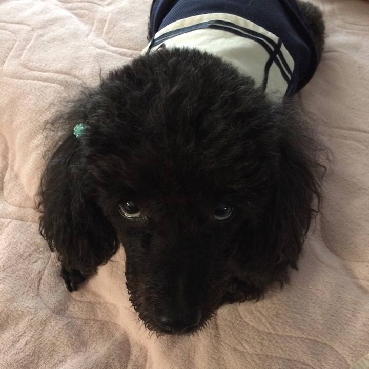 1c461c9a 4b79 4019 b73b afc9a2ff13df