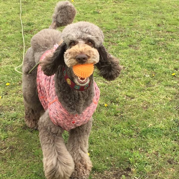 1c46accf dd9f 4f91 8cc2 799f233dcca1