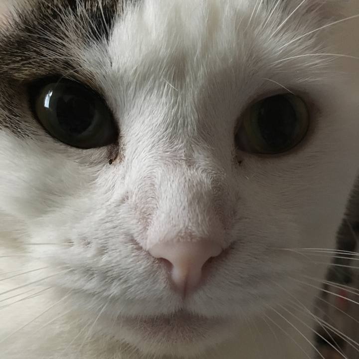 1c46bd7c 57f6 4b09 a5b9 f5fe7b9bf660