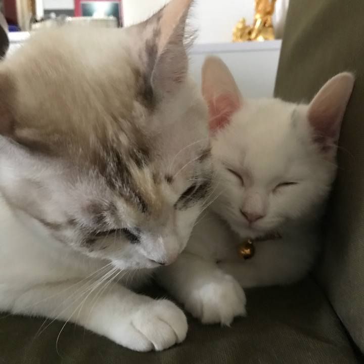 1c475607 10b2 45e4 867e 77204be99c8d