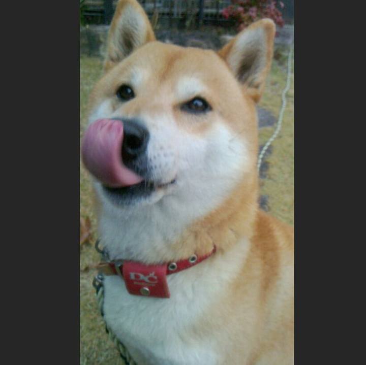 1c47575d b3d0 4a2c 9484 f9e5cd27e6b4