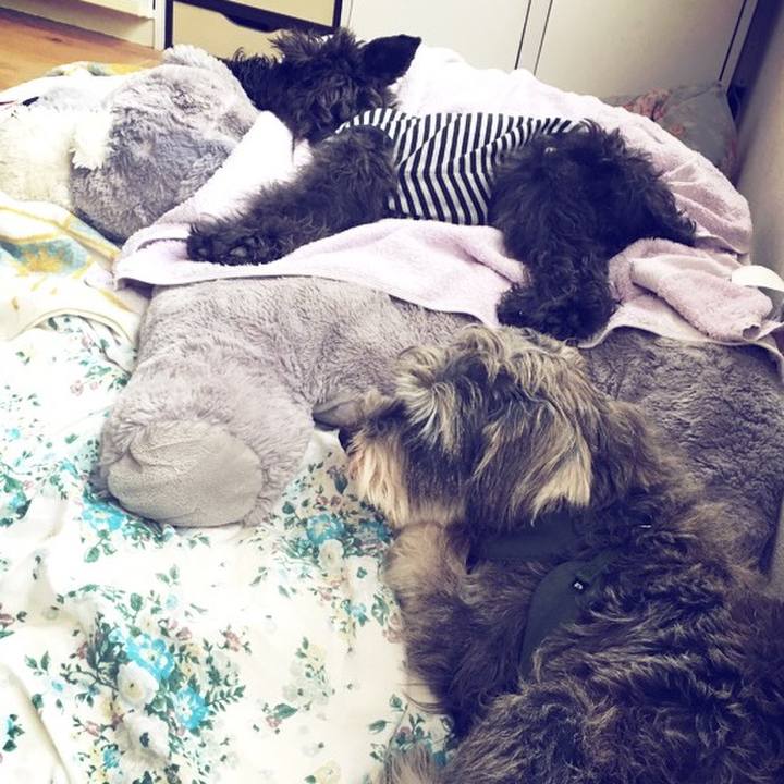 1c48539a 984f 4408 bfcc 9b2e8484bb43