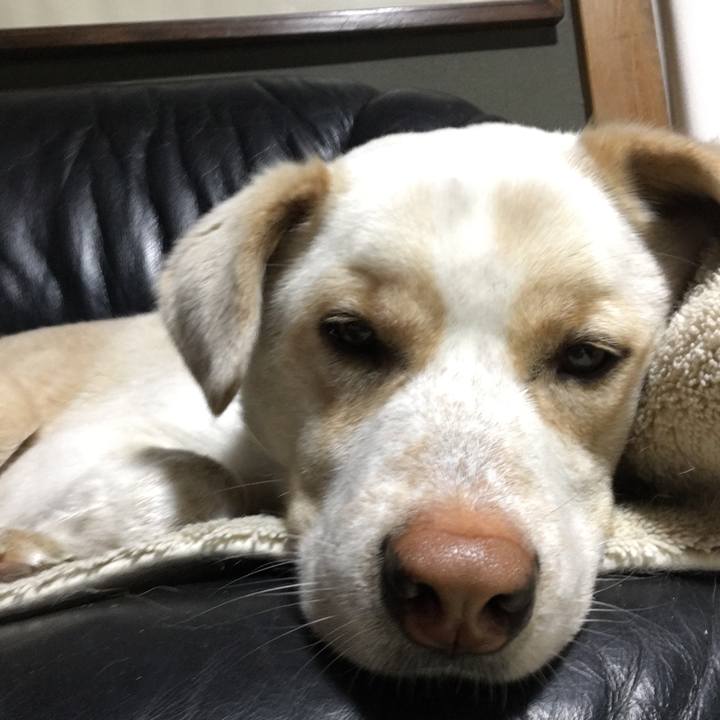 1c487892 858c 47fa 9dd5 6655cfbae95c