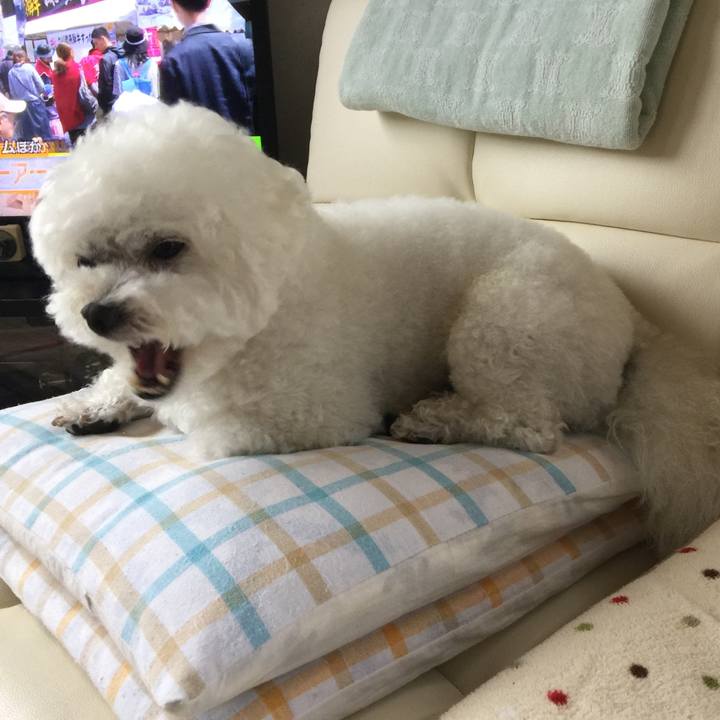 1c4958d5 770d 4ed4 a9cc a5e65348ae4d