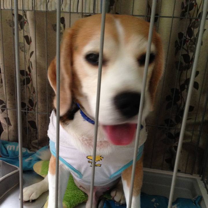 1c4ab19a a0c5 4350 9235 c16d5a9798ff