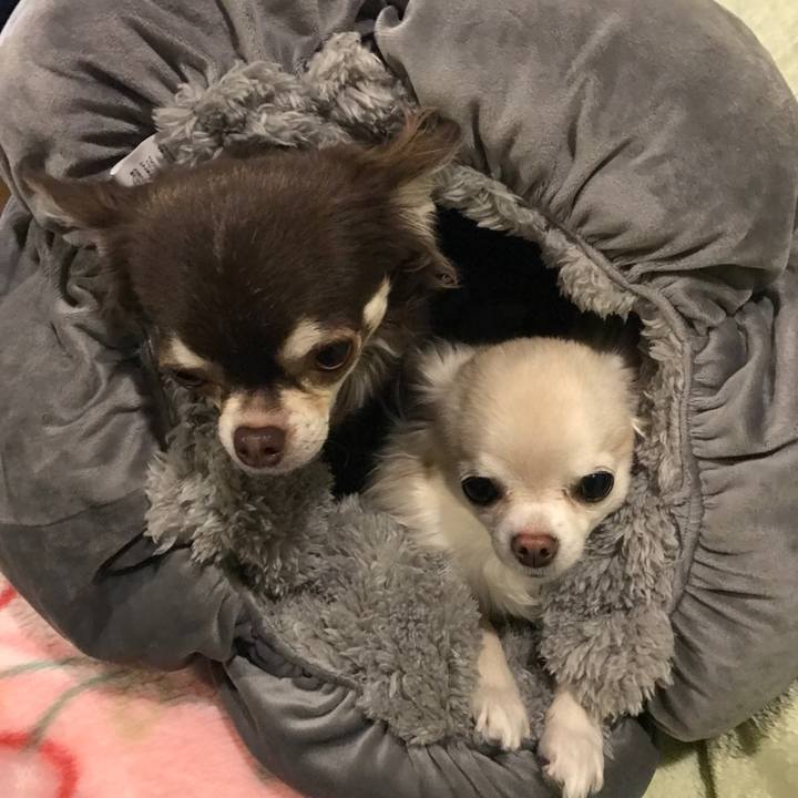 1c4ad630 ac85 4543 948d f4c2db456a63