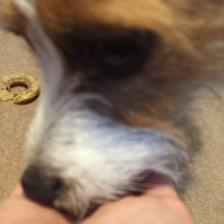 1c4b4ac3 520b 49ef 8720 3d13002073cb