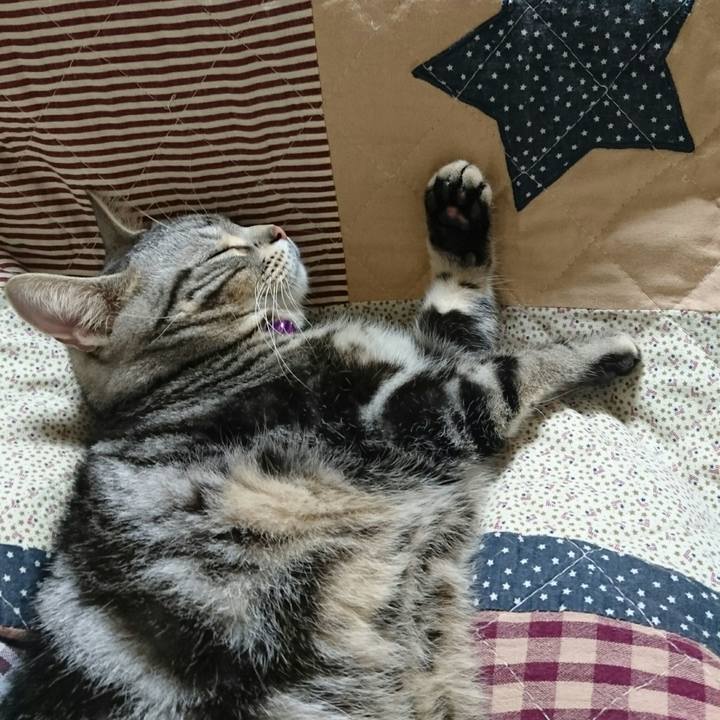 1c4b555c c017 44ae af9e dcf434e2cd93