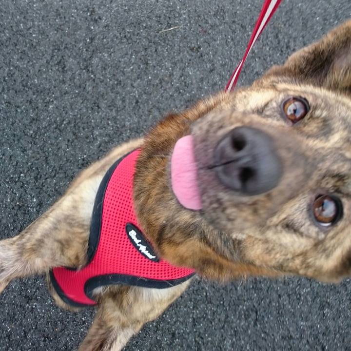 1c4b81a4 4997 4d4f 8ca1 e78b0214973c