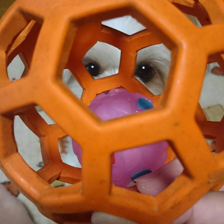 1c4c15d8 3e05 4c3e 81f8 b695de170627