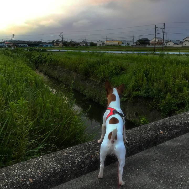 1c4c1c4a a187 48ef 991b 6eff783592d7