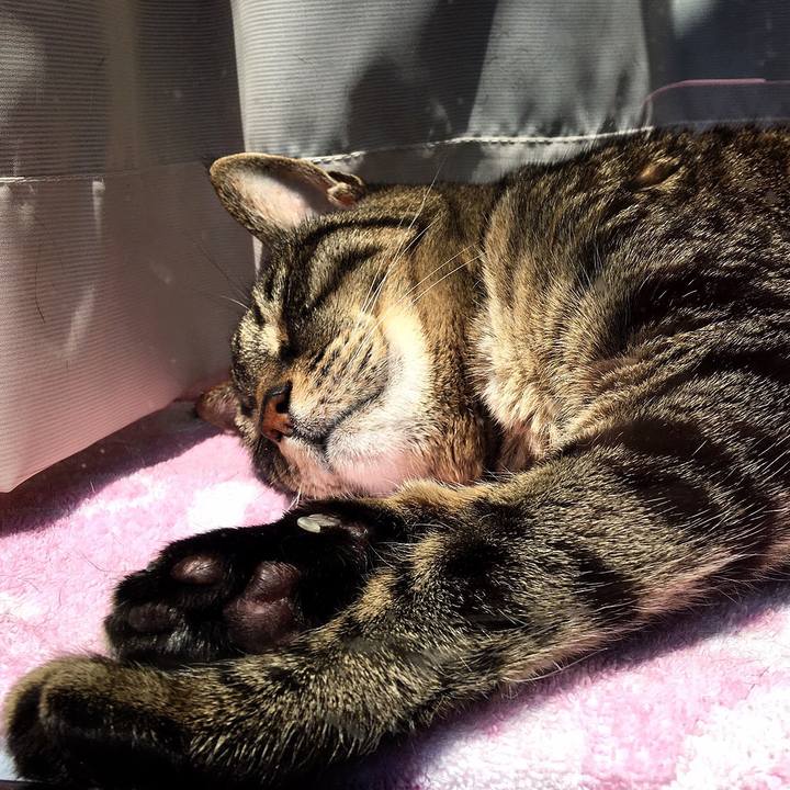 1c4c917e e85d 4730 880d 32d25d15d66f