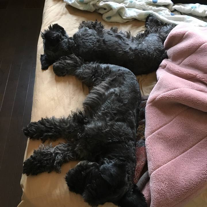 1c4cabe0 f0ee 474f aa24 1ee4011a4274