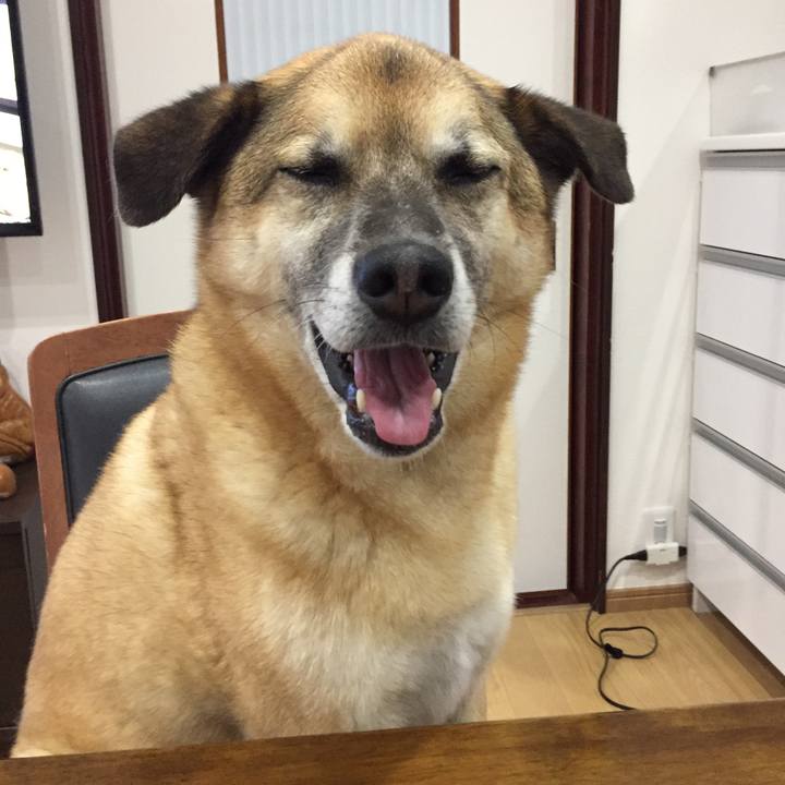 1c4d848b b916 4e61 bd9b 961857d5ebb4