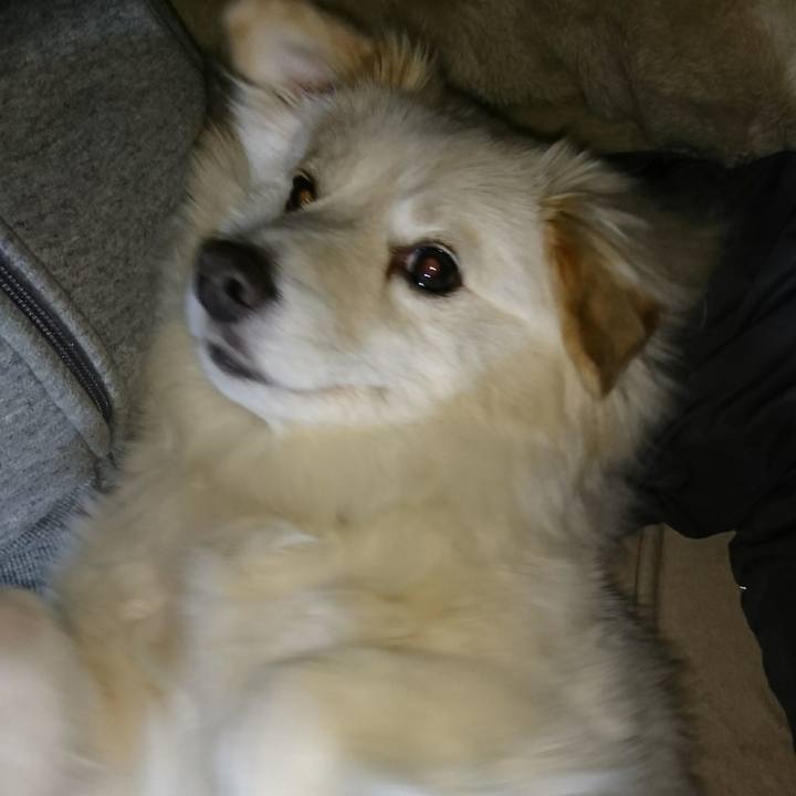 1c4e4f5a bbb9 48c5 a9e5 4857c5613113