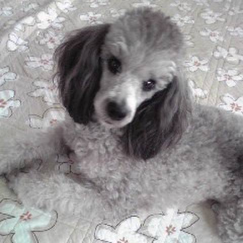 1c4e5e4c e74b 42d9 861d 8d55c44d7a5a