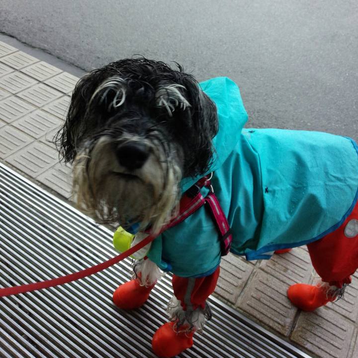 1c4e6444 74e7 4431 8ba3 2b8352a68ef3