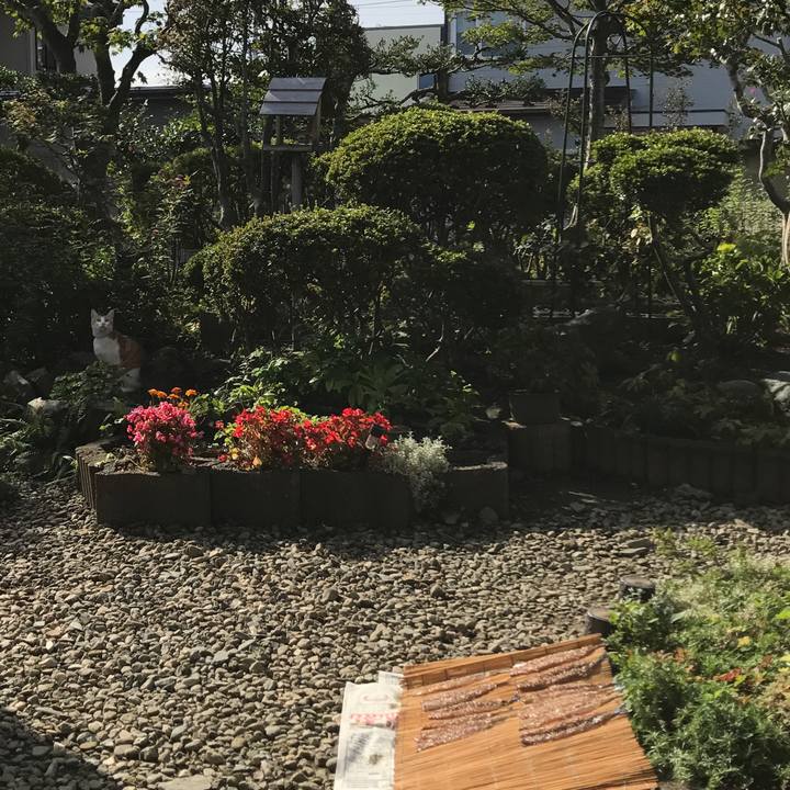 1c4e6d49 7363 4ea6 8c45 67fcbdca36c6