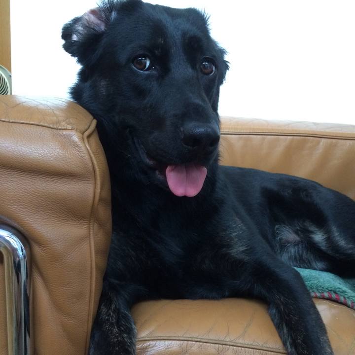 1c4e91f7 2734 437d a48f 7dcae1d00540