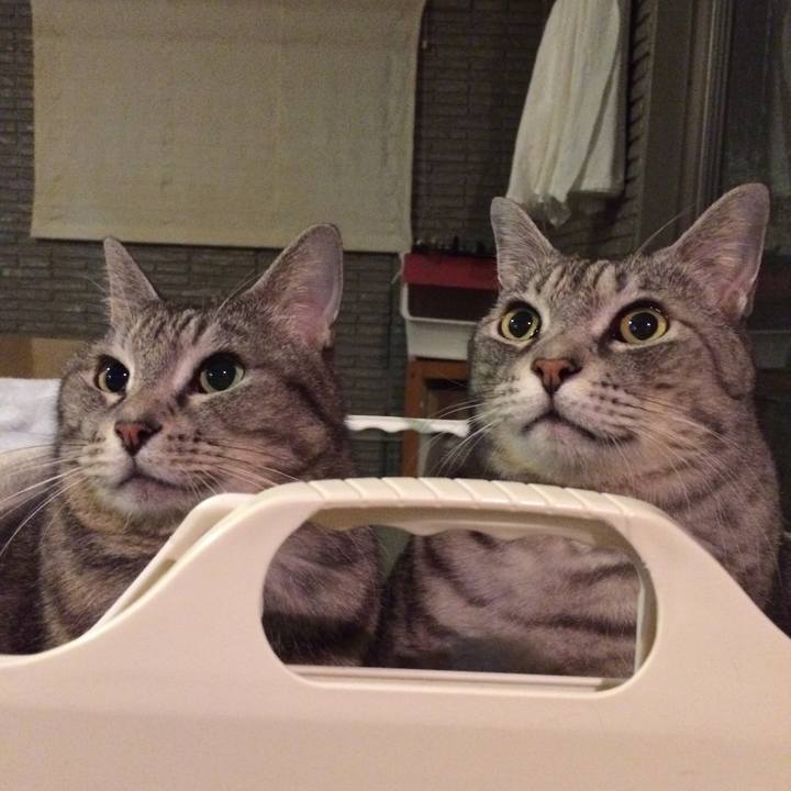 1c4ed369 cba5 4981 8bd7 344f20634552