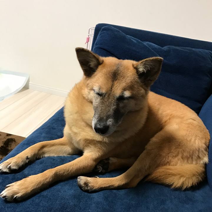 1c4f262a 8222 4400 8fab 14d743938386