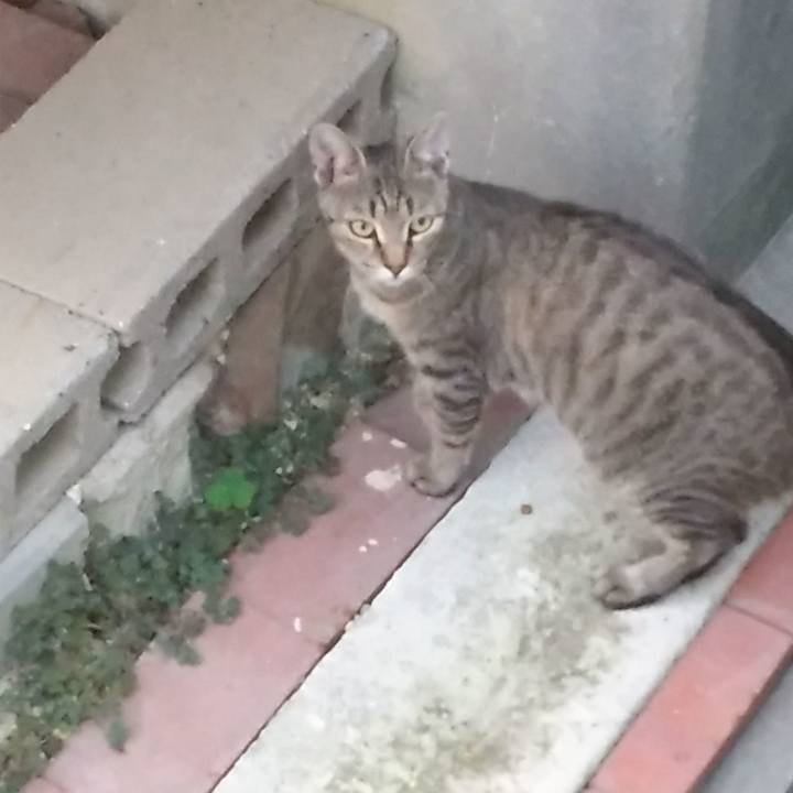 1c4f6bb0 9aa3 4fd9 9b2a 071a645df27c