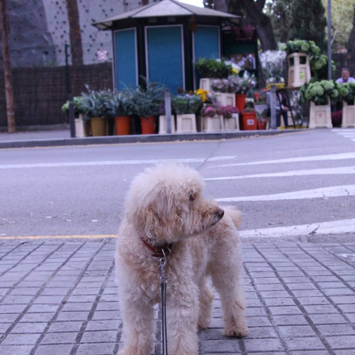 1c4f9937 5ea7 4fac ae61 3e679b115b54