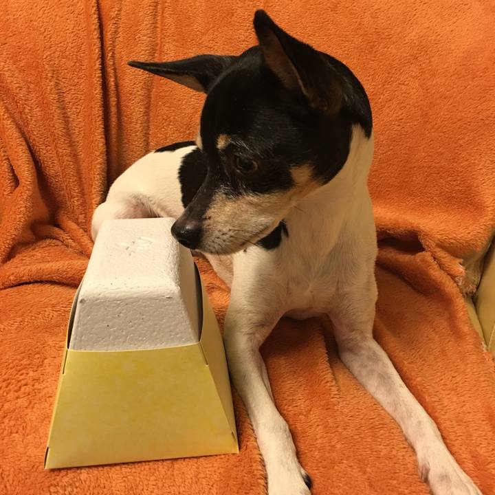 1c509850 82f0 406a 99d0 38bafbd6f987