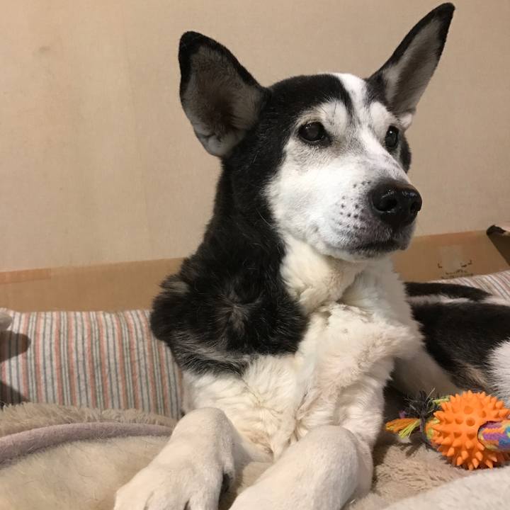 1c50e9c2 d23d 44ea 8e3d 787cd804e79b