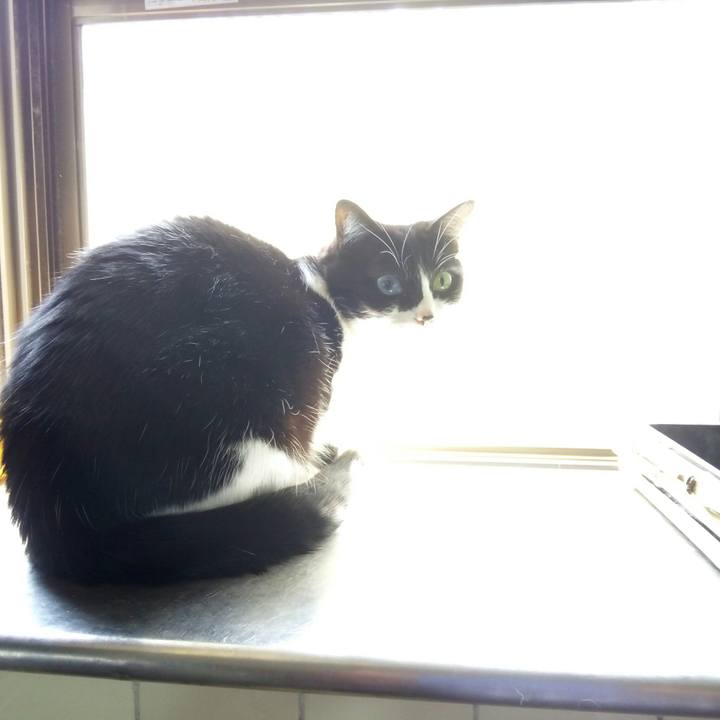 1c50eecb 7fae 42df b745 816545c5d24d